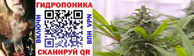 Каннабис White Widow  mega рабочий сайт  Себеж  купить  